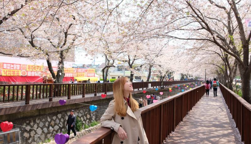 Du lịch Hàn Quốc 