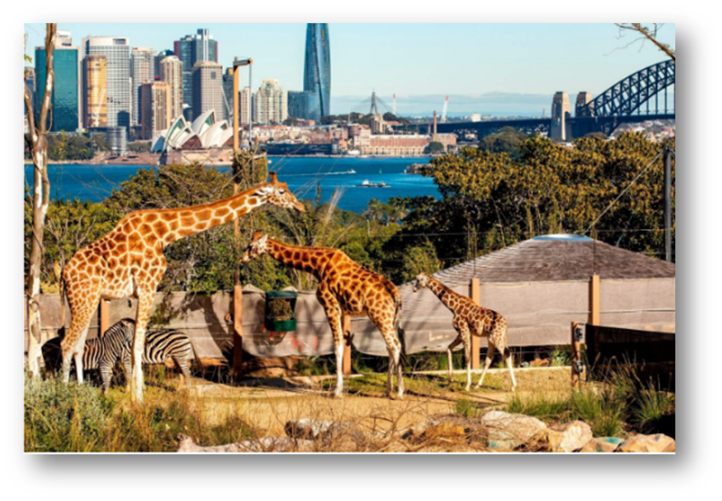 Helsinki Street View