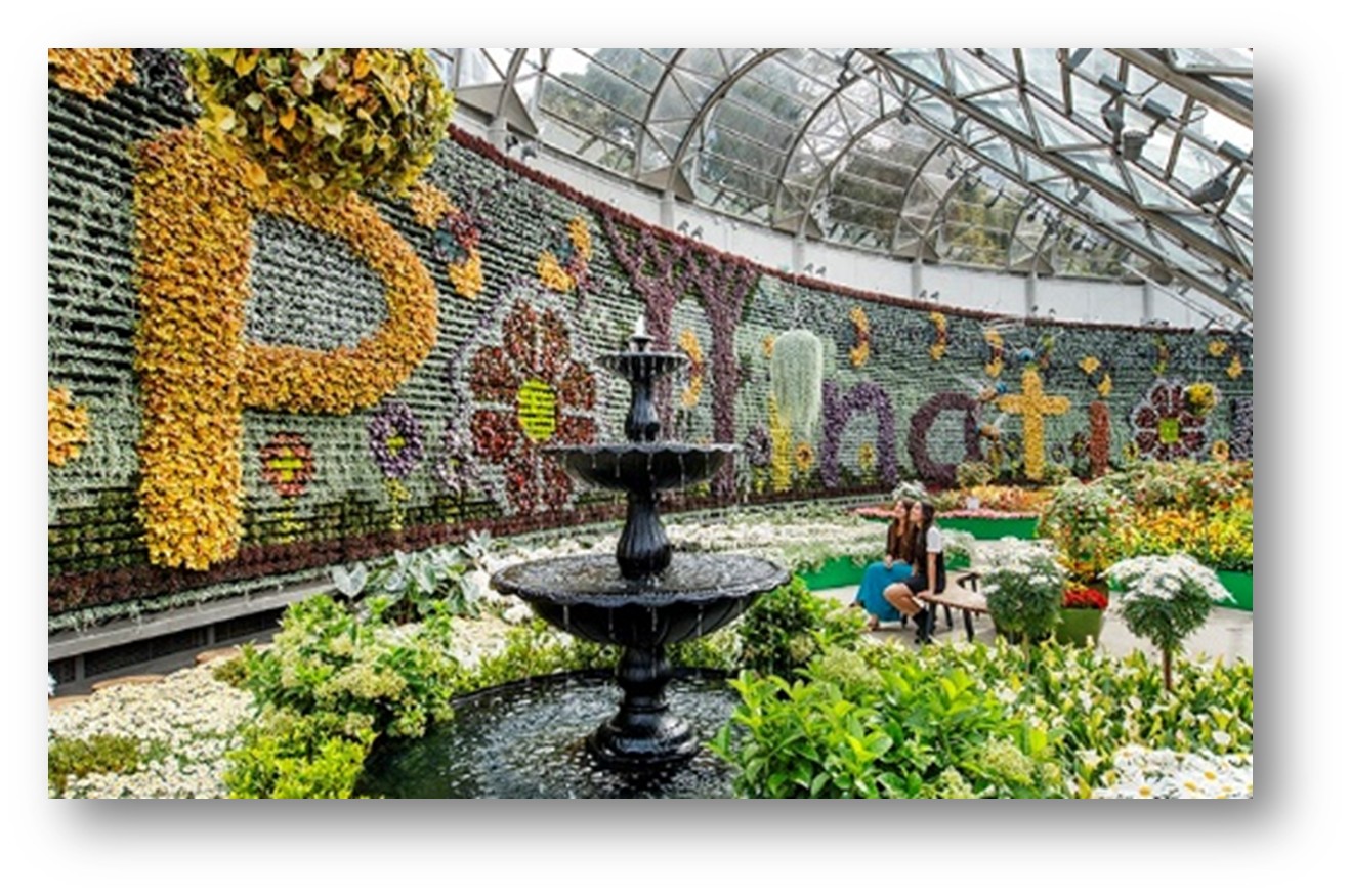 Helsinki Street View