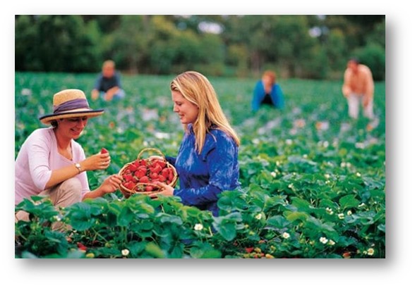 Helsinki Street View